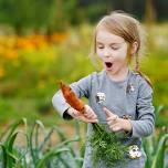 Ready, Set, Grow (1st-2nd)