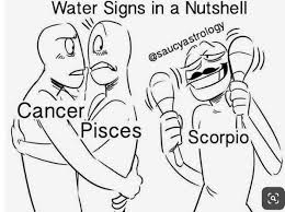 Pin By T On Zodiac Signs Zodiac Star Signs Zodiac Art Zodiac Signs Funny