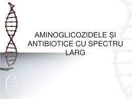 Learn vocabulary, terms and more with flashcards, games and other study tools. Ppt Aminoglicozidele È™i Antibiotice Cu Spectru Larg Powerpoint Presentation Id 4185934