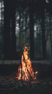 Download and share awesome cool background hd mobile phone wallpapers. Wallpaper Sunlight Trees Landscape Forest Leaves Depth Of Field Dark Night Nature Portrait Display Wood Branch Evening Fire Heat Campfire Burning Tree Flame Darkness 1080x1920 Px Bonfire 1080x1920 4kwallpaper
