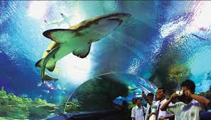 Paul, jonker walk, malacca river cruise, menara taming sari, muzim maritim & mini malaysia. 10 Destinasi Wisata Malaysia Anti Mainstream 2019