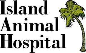Welcome to island animal hospital of venice!! Island Pet Hospital Venice Pet Hospital Island Animal Clinic Island Animal Hospital