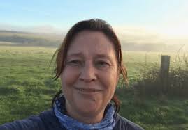 Stories and Interviews