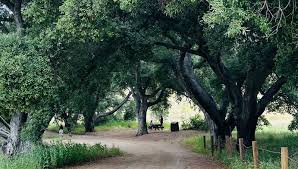 Nature is my “church”