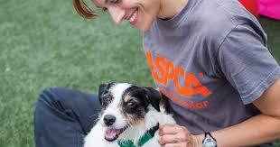 Second chance pet rescue nj. Aspca Documentary Second Chance Dogs Now Available On Netflix Aspca