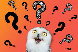 Do you know which animal cannot jump? Science Trivia About Animals With Answer Animal Trivia Quiz Questions