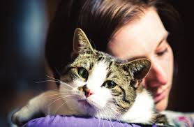 Special 2012 RedRover Annual Report Edition