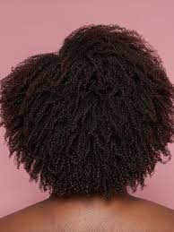 Type 4 4c Curls Natural Hair Styles Easy Natural Hair Styles Curly Hair Styles