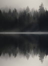 Non Aveva Mai Visto Il Lago In Quelle Ore Del Mattino E Sembrava Tutto Molto Misterioso Una Calma Irreale Ammutoliva Qua Nature Photography Landscape Nature