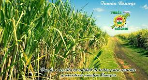 1,101 likes · 57 talking about this. Tuman Resurge Startside Facebook