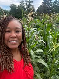 Ok dose anyone know what this is? It enjoys the sun. 🌞