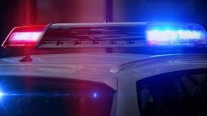 Lakeville Police