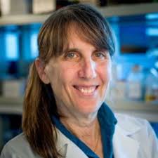 Julia L. Hurwitz, PhD