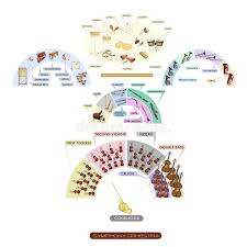 Seating Chart Of Musical Instrument For Symphonic Band Stock