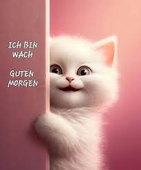 Guten Morgen Gute Nacht (Bilder und Sprüche)