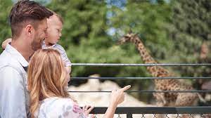 How To Start A Zoo Business | Truic