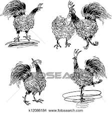 Download in under 30 seconds. Roosters And A Hen Black And White Clipart K12086184 Fotosearch