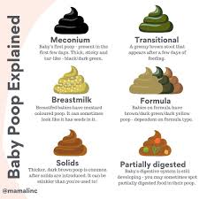 Image result for dark black stool human poop