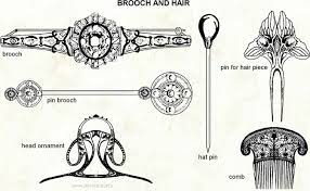 Brooch And Hair Visual Dictionary