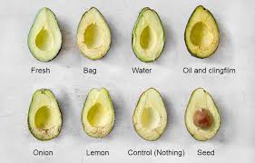 It's quite frustrating to me because from videos i've watched it seems as if people just put some tooth picks in their seed, put it in a cup, fill it with water, and a few weeks later it starts sprouting, then a few weeks after that it starts to have a stem, then leaves. How To Keep Avocados Fresh 6 Top Ways Tested For Results