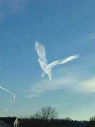 130 Aesthetic CLOUDS MAKING A PICTURE ideas | clouds, picture, angel clouds