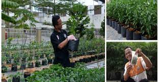 Projek tanaman cili fertigasi membuahkan hasil lumayan. Pendapatan Mencecah Rm7k Tanam Cili Tepi Rumah Kartel Dakwah