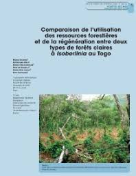 Image result for Isoberlinia doka