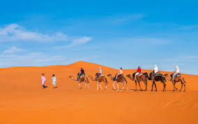 Winds blow sand all around, so a camel has long eyelashes. The Alchemist Full Text
