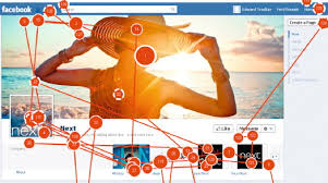 Image result for Visual Fixation