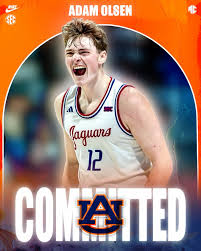 🚨BREAKING🚨 South Alabama forward Adam Olsen has committed to Auburn!🦅  After Sebastian Williams-Adams' exit, Auburn makes quick work of adding a  couple forwards in Olsen and Troy's Thomas Dowd. Olsen shot a