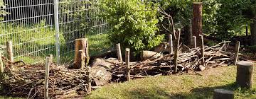 Das haben wir nicht getan, weil wir etwas gutes für die tierwelt tun wollten, wir wussten nicht wie gut es ist, sondern das holz ist. Impressionen Birstein Kirchbracht Garten Pflanzen Garten Traumgarten
