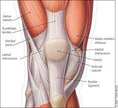 Management Of Patellofemoral Pain Syndrome American Family Physician