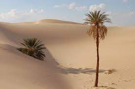 من قبيلة الزيادين ( الاشراف ) من سكان بلدة الزيغن التي تقع في الجنوب الغربي من ليبيا حيث تبعد حو Ù…Ù‚ØªØ·ÙØ§Øª Ù„ÙŠØ¨ÙŠØ© Ø³ÙŠØ¯ÙŠ Ù‚Ù†Ù€Ù€Ù€Ù€Ù€Ù€Ø§Ù†Ù€Ù€Ù€Ù€Ù€Ù€Ù€Ù‡ Ù‡Ùˆ Ø§Ù…Ø­Ù…Ø¯ Ù‚Ù†Ø§Ù†Ù‡ Ø¨Ù† Ø£Ø­Ù…Ø¯ Ø¨Ù† Ø¹Ù„ÙŠ Ø¨Ù† Ù…Ø­Ù…Ø¯ Ø§Ù„Ø²ÙŠØ¯Ø§Ù†ÙŠ ÙˆØ¹Ø±Ù Ø¨ÙŠÙ† Ø§Ù„Ù†Ø§Ø³ Ø¨Ù€ Ø³ÙŠØ¯ÙŠ Ù‚Ù†Ø§Ù†Ù‡ ÙˆÙ„Ø¯ Ø§Ù…Ø­Ù…Ø¯ Ù‚Ù†Ø§Ù†Ù‡ Ø¨ÙŠÙ† Ø§Ù„Ø£Ø¹ÙˆØ§Ù… 1765 1775Ù… ÙÙŠ Ù‚Ø±ÙŠØ© Ø§Ù„Ø²ÙŠØºÙ† Ù…Ù† Ù‚Ø±Ù‰
