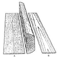 For the other tools, draw straight through the shape with the grain of the wood so you don't get. Wood Grain Wikipedia