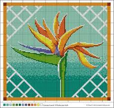 The Bird Of Paradise Cross Stitch Patterns Free Birds Of Paradise Cross Stitch