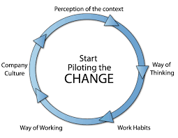 What is making your company revenue? Lean Change Management Kaizen Coach