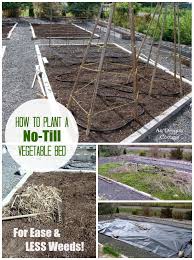 This particular style of gardening does. Planting A Garden Bed The No Till Way Fewer Weeds An Oregon Cottage