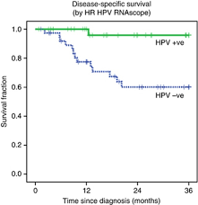 kaplan meier chart for dss as demonstrated by hr hpv