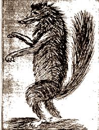 Image result for Dewildemania