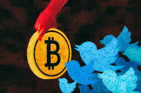 The bears have taken over. Twitter And The Big Bitcoin Scam What Happened Next The Verge