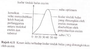 Hampir semua proses biologis sel memerlukan enzim agar dapat berlangsung dengan cukup cepat. Lipid