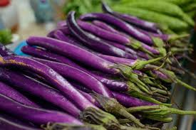 Grilled purple eggplant with sweet miso sauce. How To Grow Japanese Eggplants In Your Home Garden 2021 Masterclass