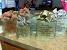 Lighted Glass Christmas Glass Block Ideas