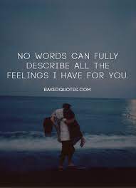 No Words Can Fully Describe All The Feelings I Have For You This Is Us Quotes Quote Of The Day Feelings