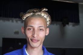 World Snake Day awareness and education