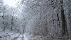 Domenica mattina è irregolarmente nuvoloso con alcuni rovesci. De La Neige En Provence Pour Terminer L Annee