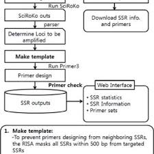 · henri bergson introducción a la metafísica. Pdf Risa A New Web Tool For Rapid Identification Of Ssrs And Analysis Of Primers