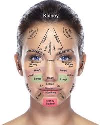 Face Mapping According To Traditional Chinese Medicine
