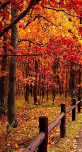 Pin On Beautiful Places