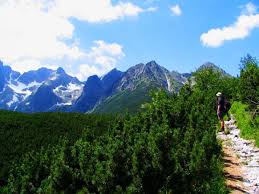 Von hier können sie den gipfel, über den die grenze zwischen slowakei und polen verläuft, in einem nur kurzen anstieg erreichen. Hohe Tatra Rucksack Reisen